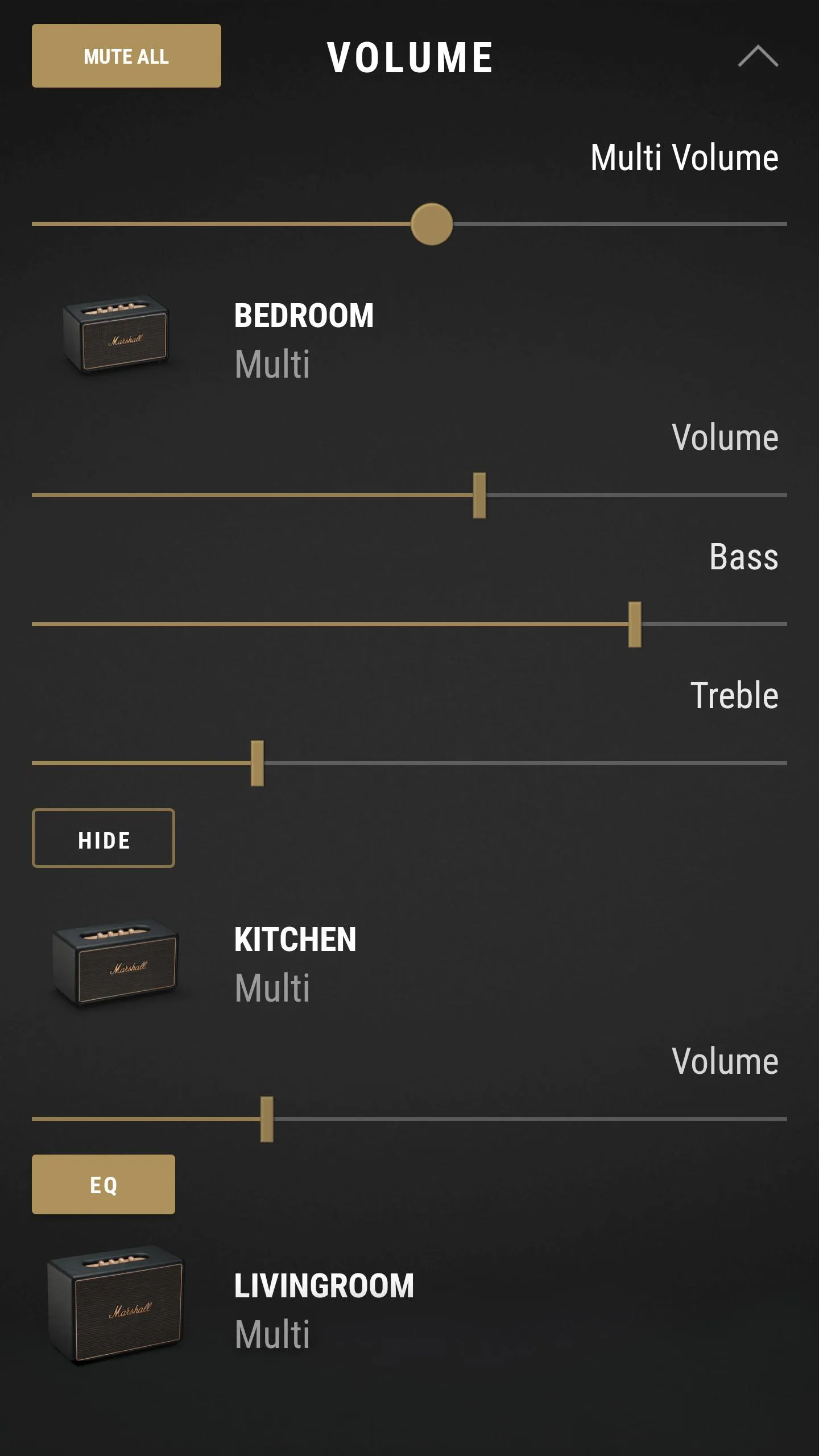 Marshall Multi-Room | Indus Appstore | Screenshot