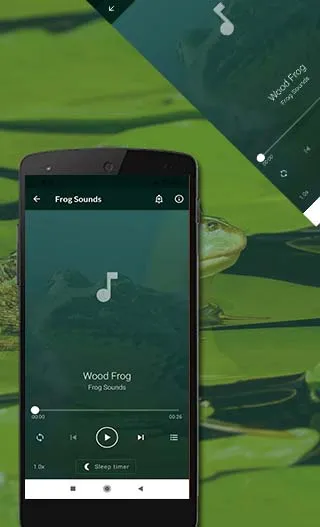 Frog Sounds | Indus Appstore | Screenshot