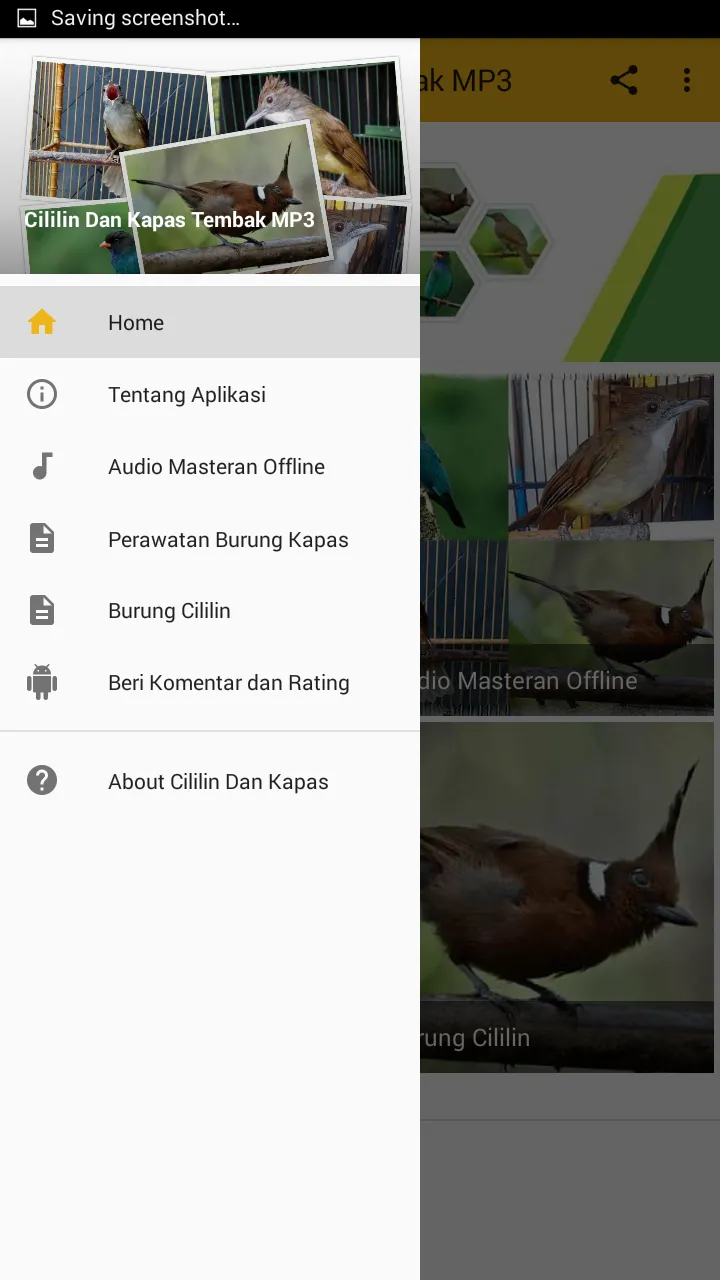 Masteran Cililin Kapas Tembak | Indus Appstore | Screenshot