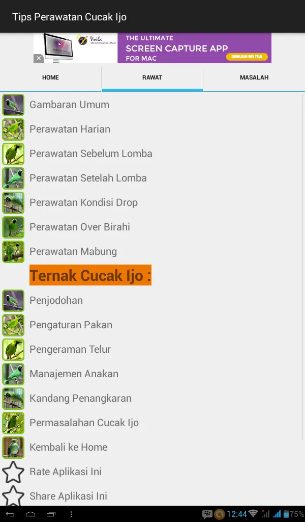 Tips Perawatan Cucak Ijo | Indus Appstore | Screenshot