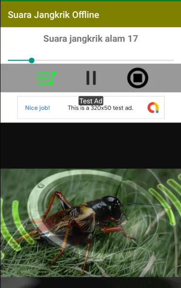Suara Jangkrik Offline | Indus Appstore | Screenshot