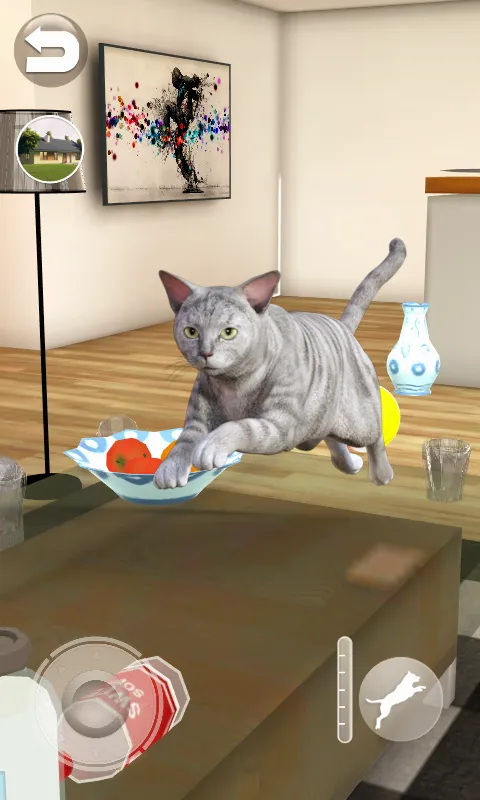 Talking Tabby Cat | Indus Appstore | Screenshot