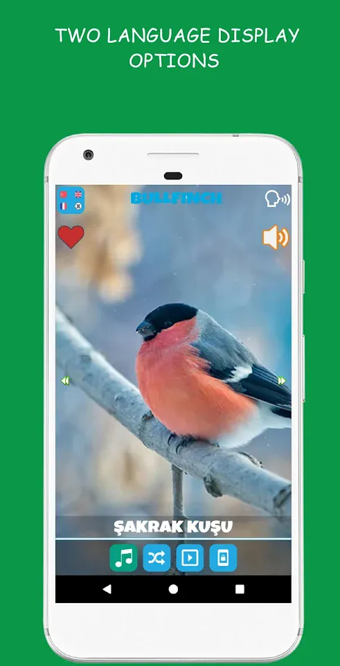 Animal Sounds | Indus Appstore | Screenshot