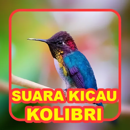 Suara Kicau: Burung Kolibri | Indus Appstore | Screenshot