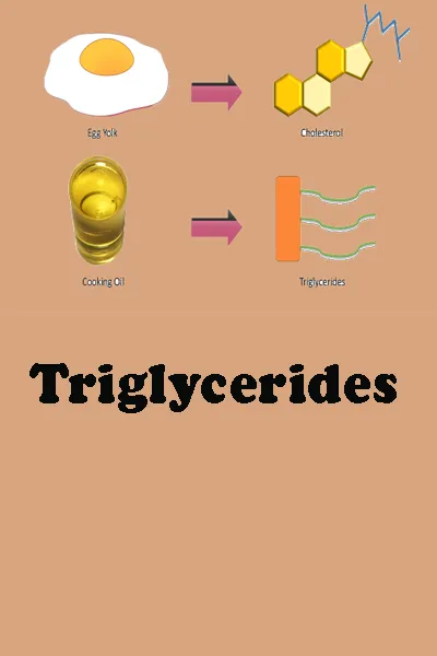 Triglycerides | Indus Appstore | Screenshot