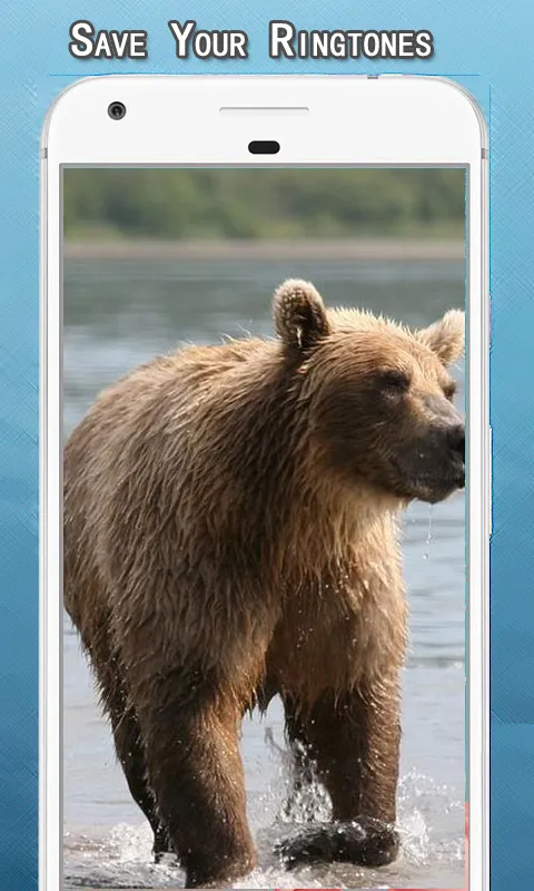 Wild Bear Sounds Ringtone | Indus Appstore | Screenshot