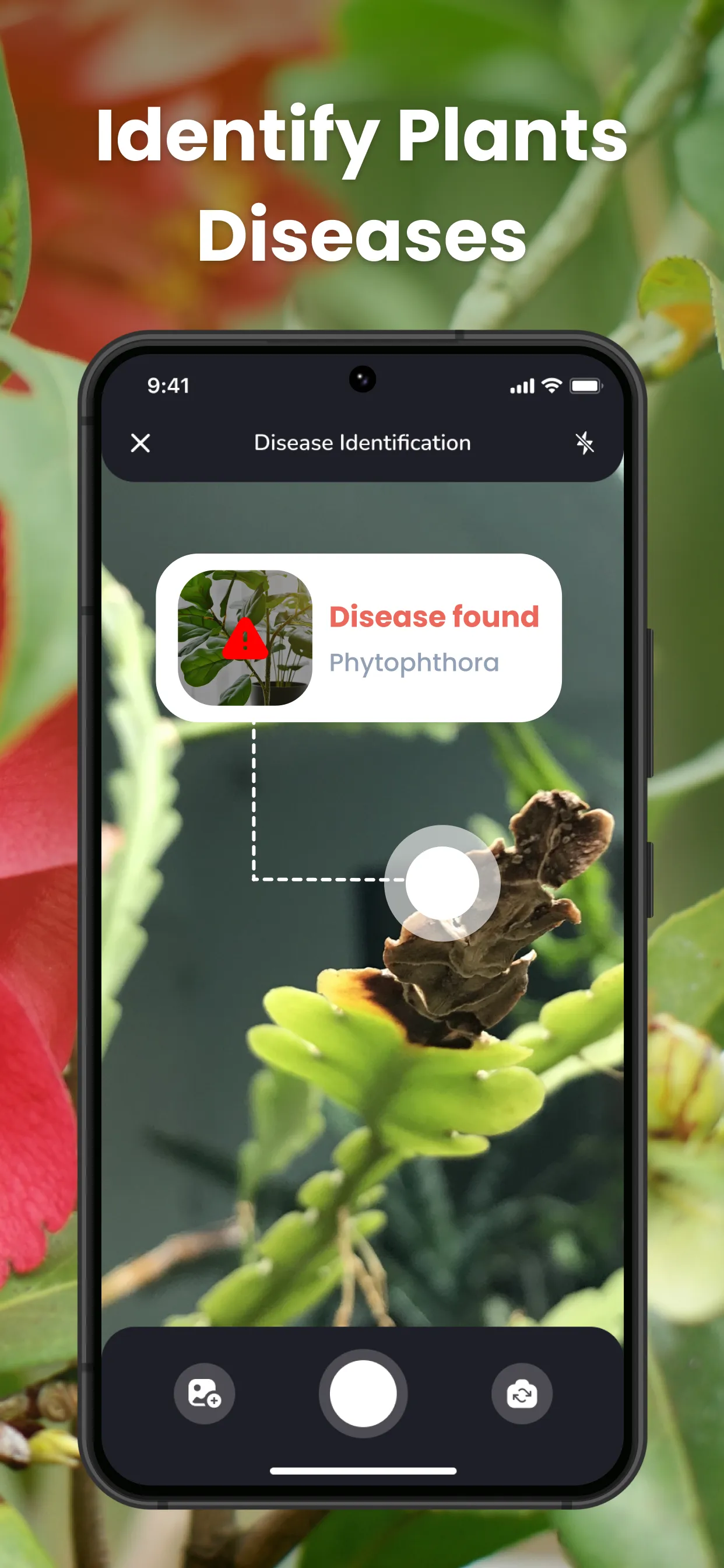 PlantIn Plant Identifier, Care | Indus Appstore | Screenshot