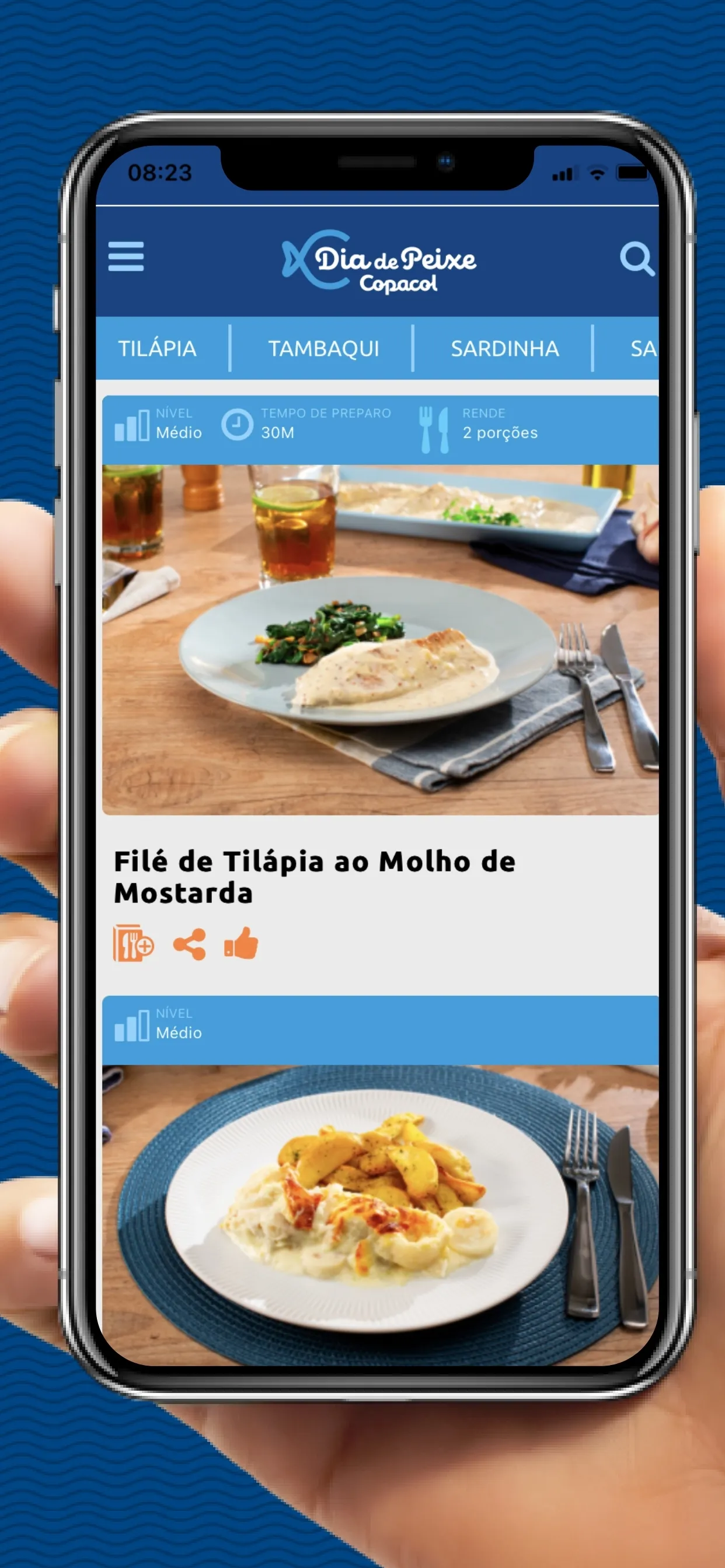 Dia de Peixe Receitas | Indus Appstore | Screenshot