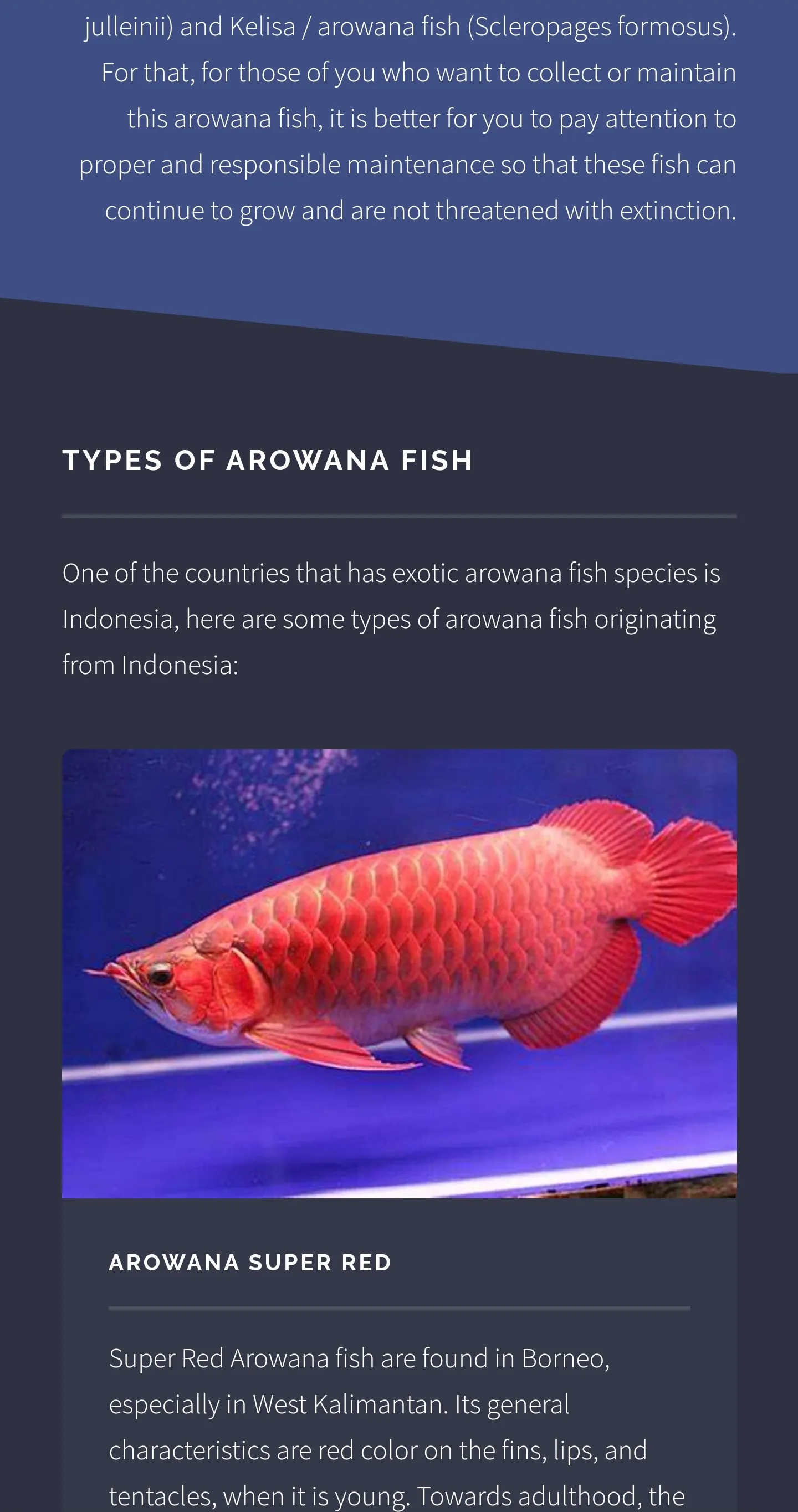 Arowana Fish - Care, Guide | Indus Appstore | Screenshot