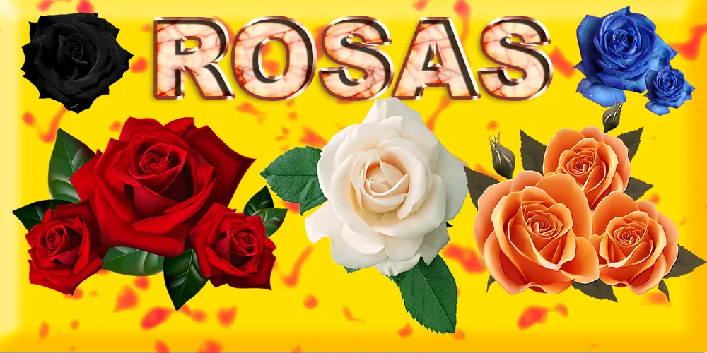 Rosas de Colores Para Dedicar | Indus Appstore | Screenshot