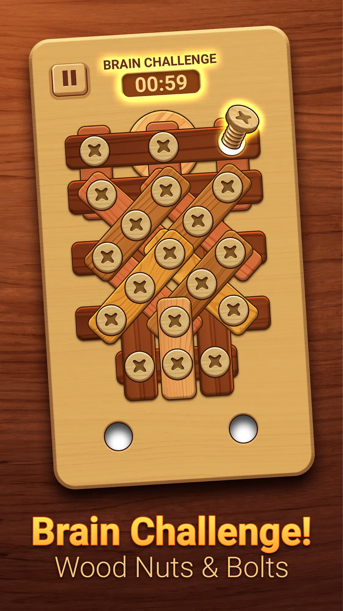 Woodle - Wood Screw Puzzle | Indus Appstore | Screenshot