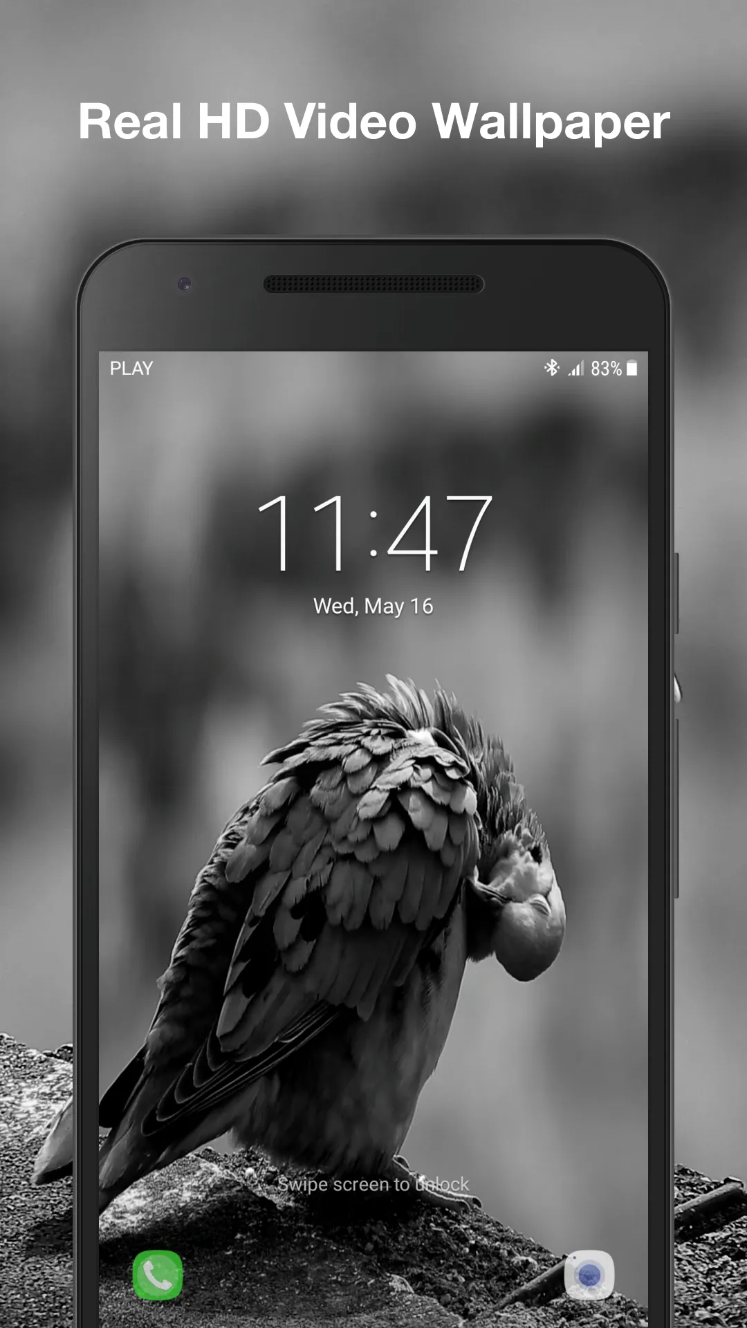 Real Bird Live Wallpaper | Indus Appstore | Screenshot