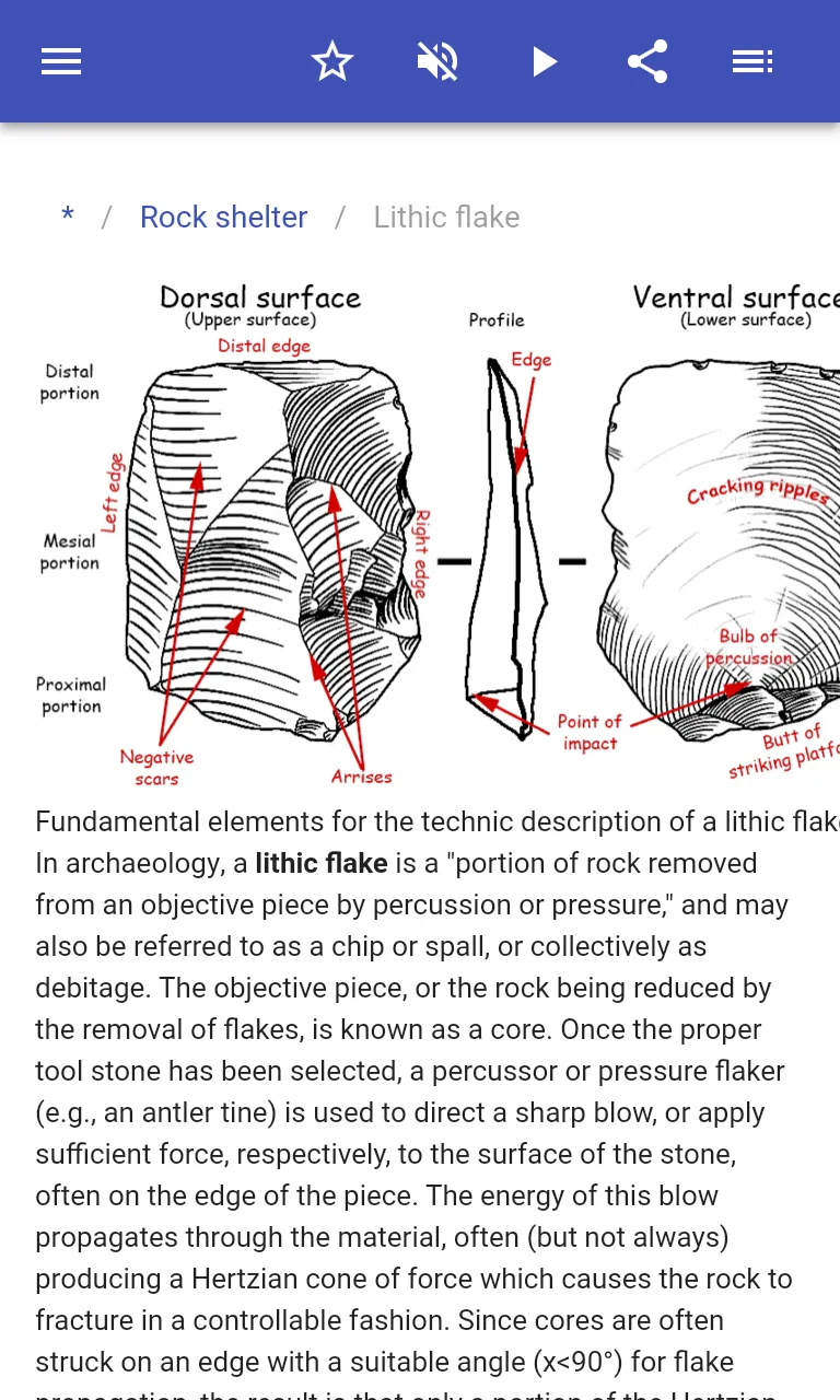 Archaeological terminology | Indus Appstore | Screenshot