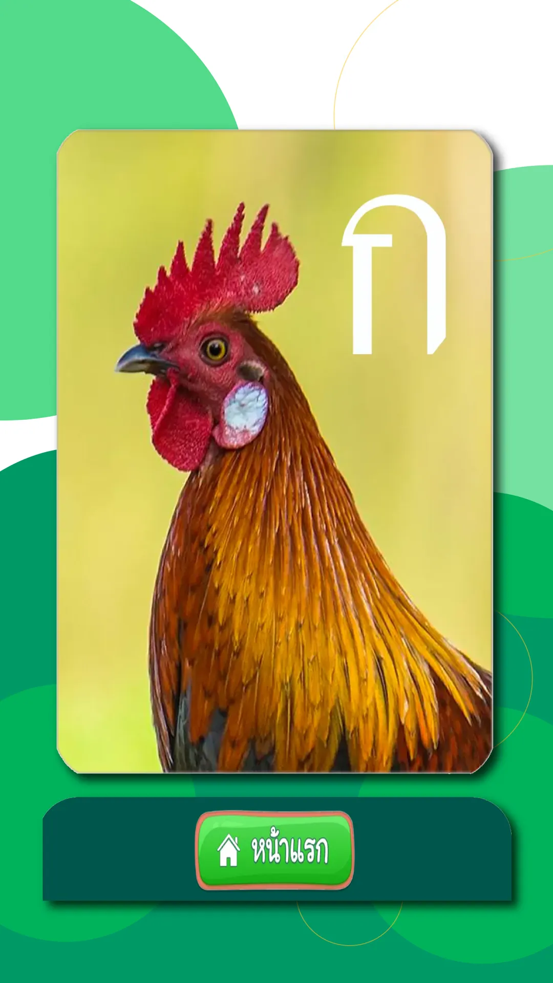 ฝึกอ่านภาษาไทย ก.ไก่ - ฮ.นกฮูก | Indus Appstore | Screenshot