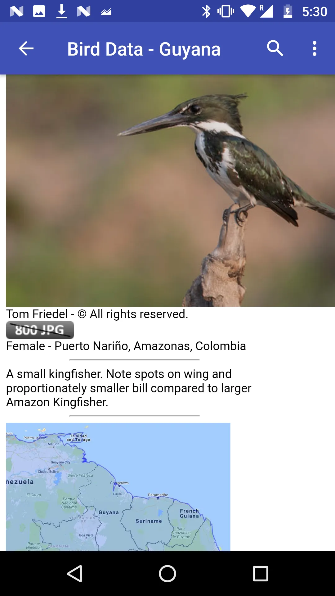 Bird Data - Guyana | Indus Appstore | Screenshot