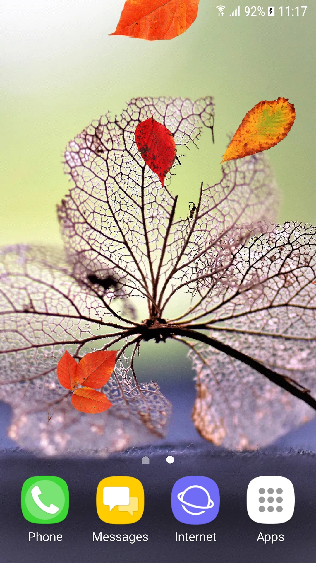 Beautiful Autumn Live Wallpape | Indus Appstore | Screenshot