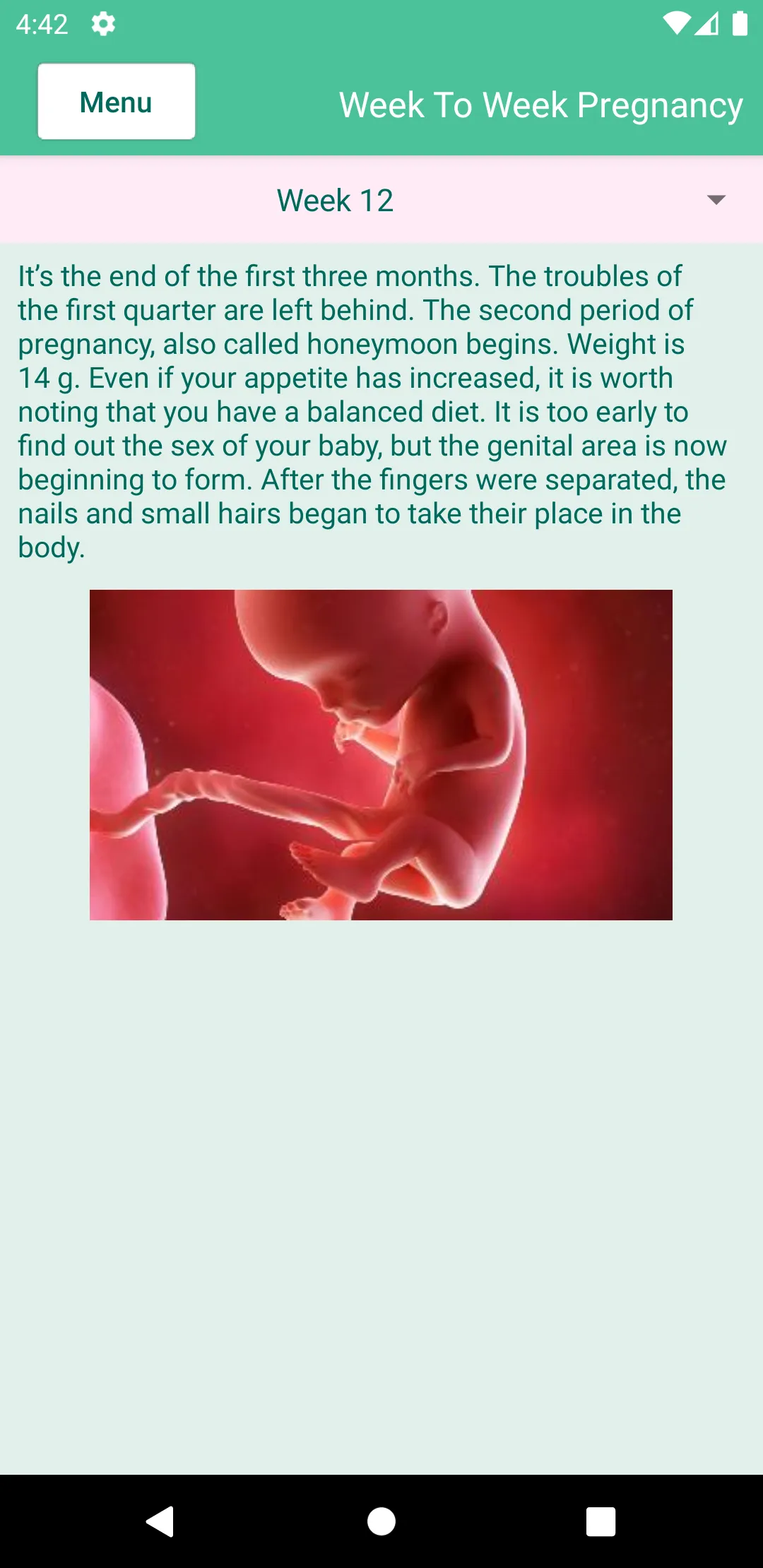 Pregnancy Tracking | Indus Appstore | Screenshot