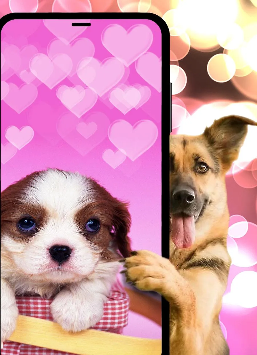 Dogs & puppies Wallpapers HD+ | Indus Appstore | Screenshot