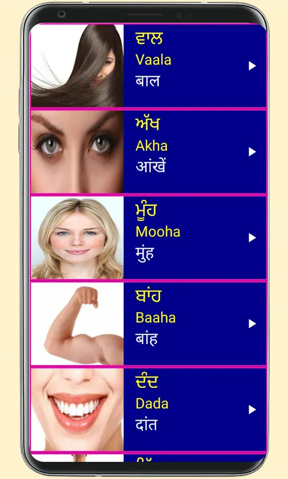 Learn Punjabi From Hindi | Indus Appstore | Screenshot