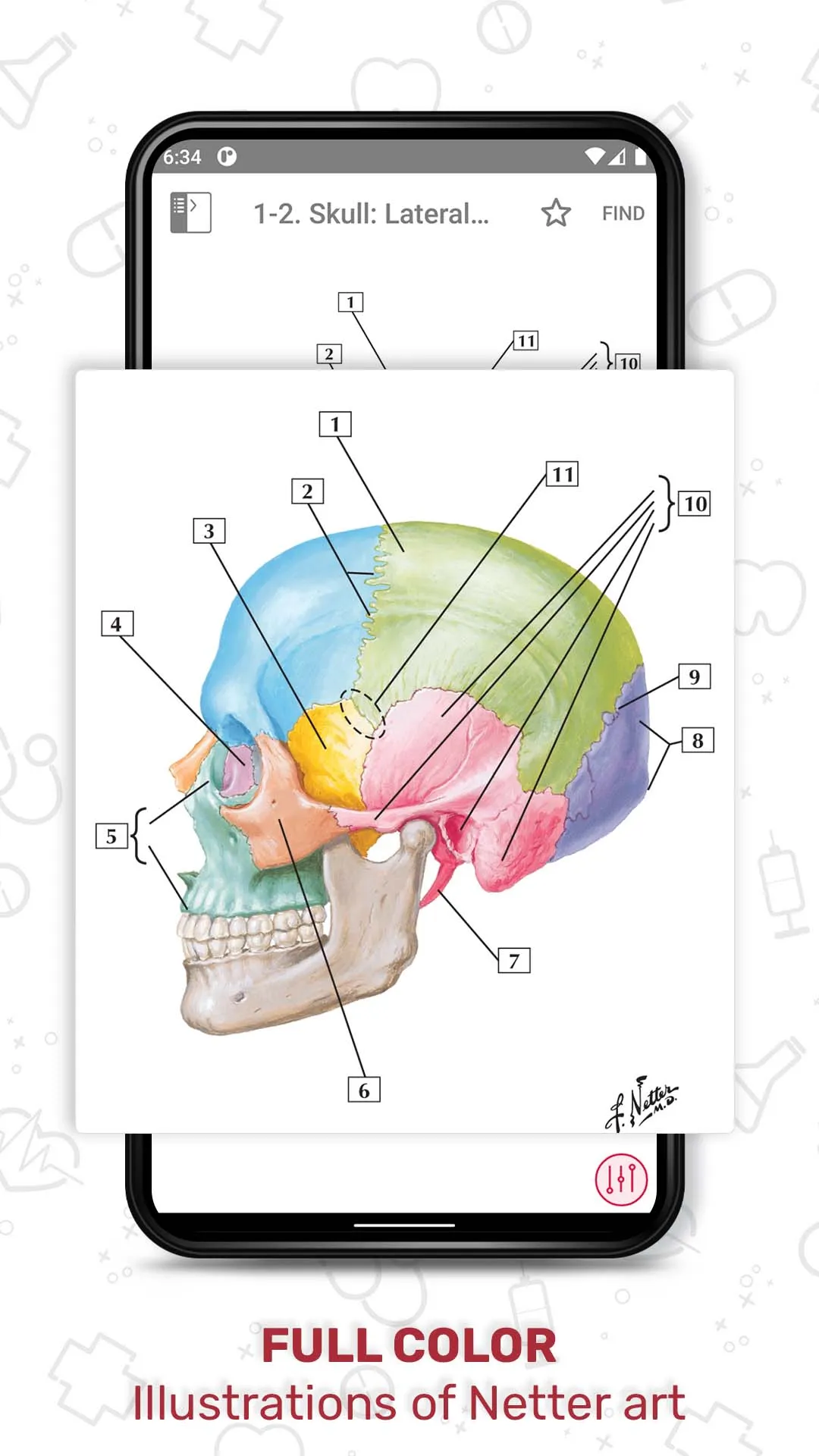 Netter's Anatomy Flash Cards | Indus Appstore | Screenshot