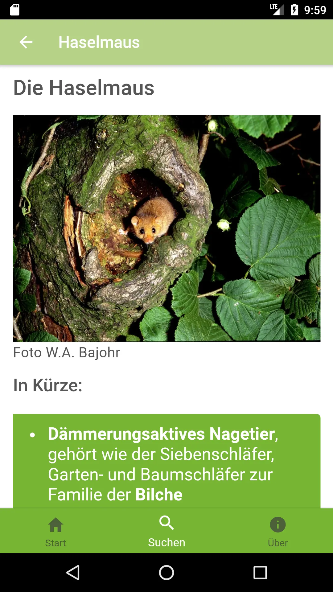 WaldApp! | Indus Appstore | Screenshot