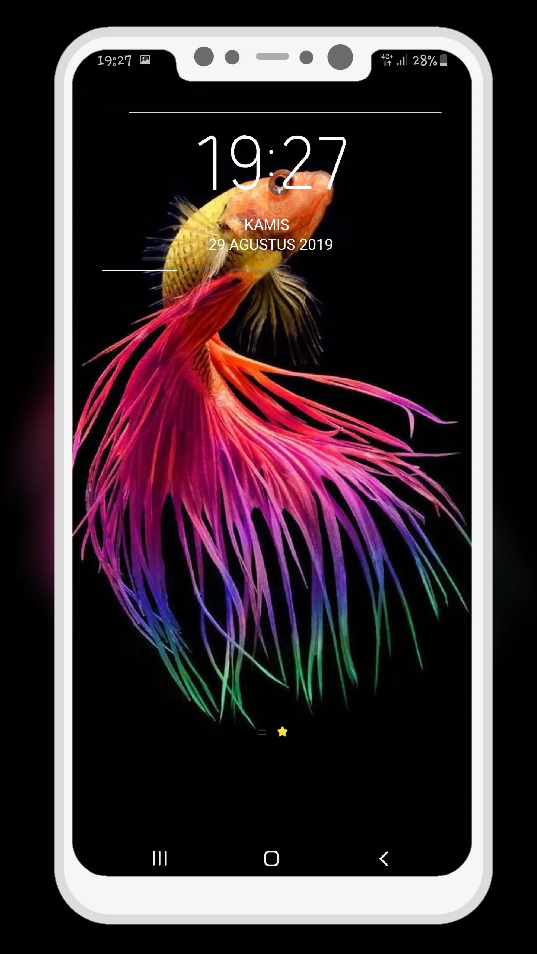 Betta Fish Wallpapers | Indus Appstore | Screenshot