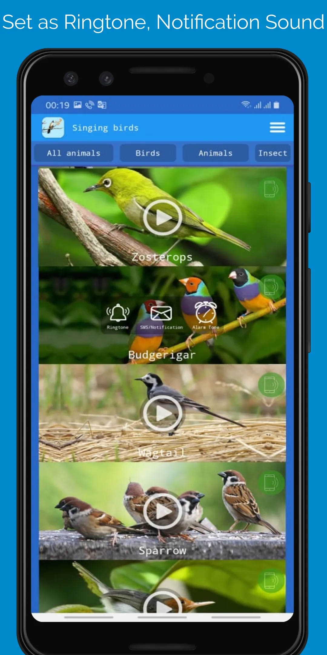 Singing Birds | Indus Appstore | Screenshot