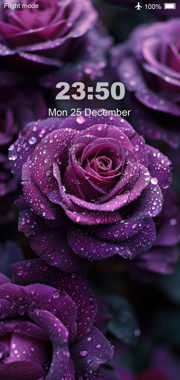 Flower Wallpaper 4K | Indus Appstore | Screenshot