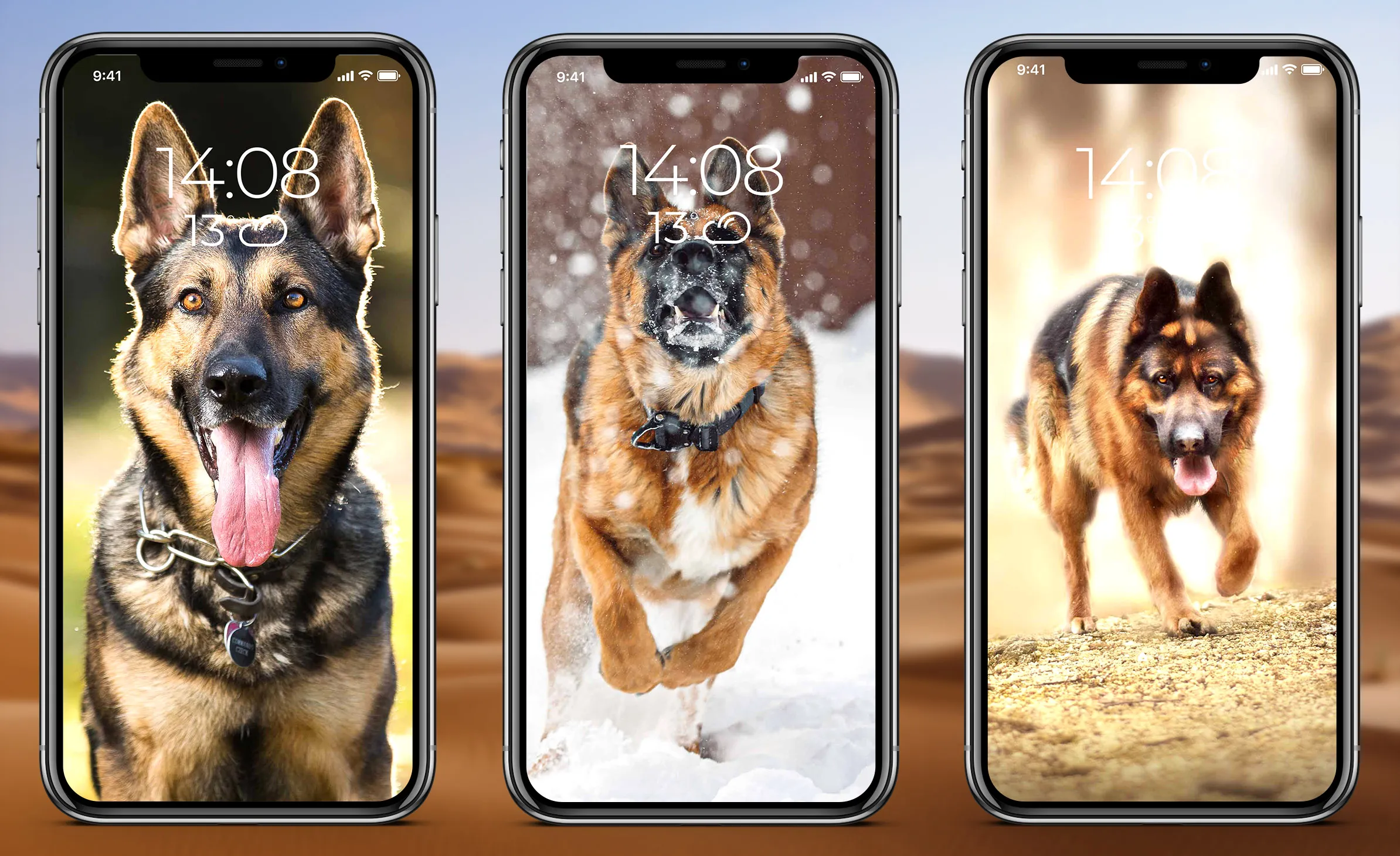 German Shepherd Wallpaper | Indus Appstore | Screenshot