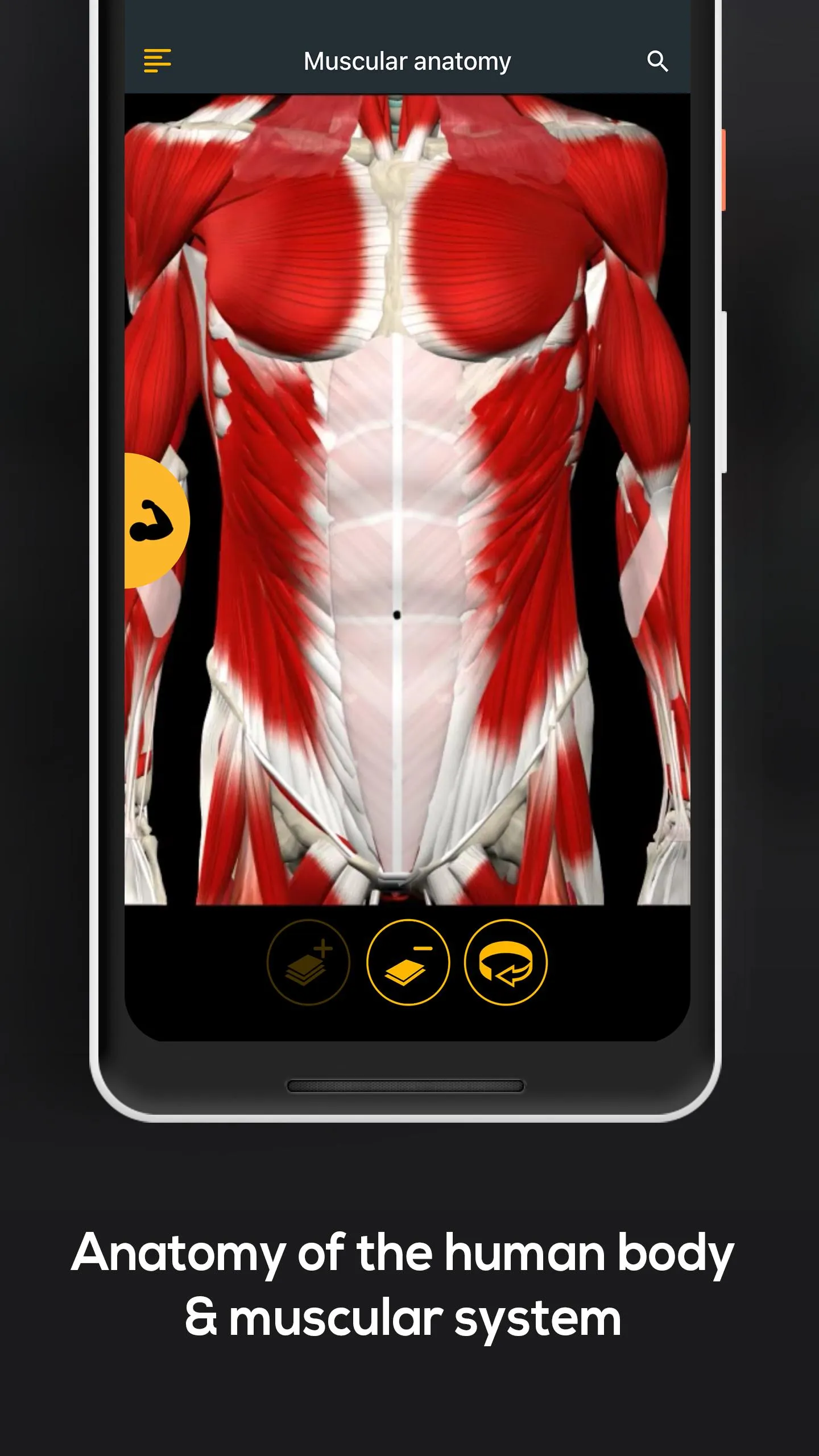 Anatomy by Muscle & Motion | Indus Appstore | Screenshot