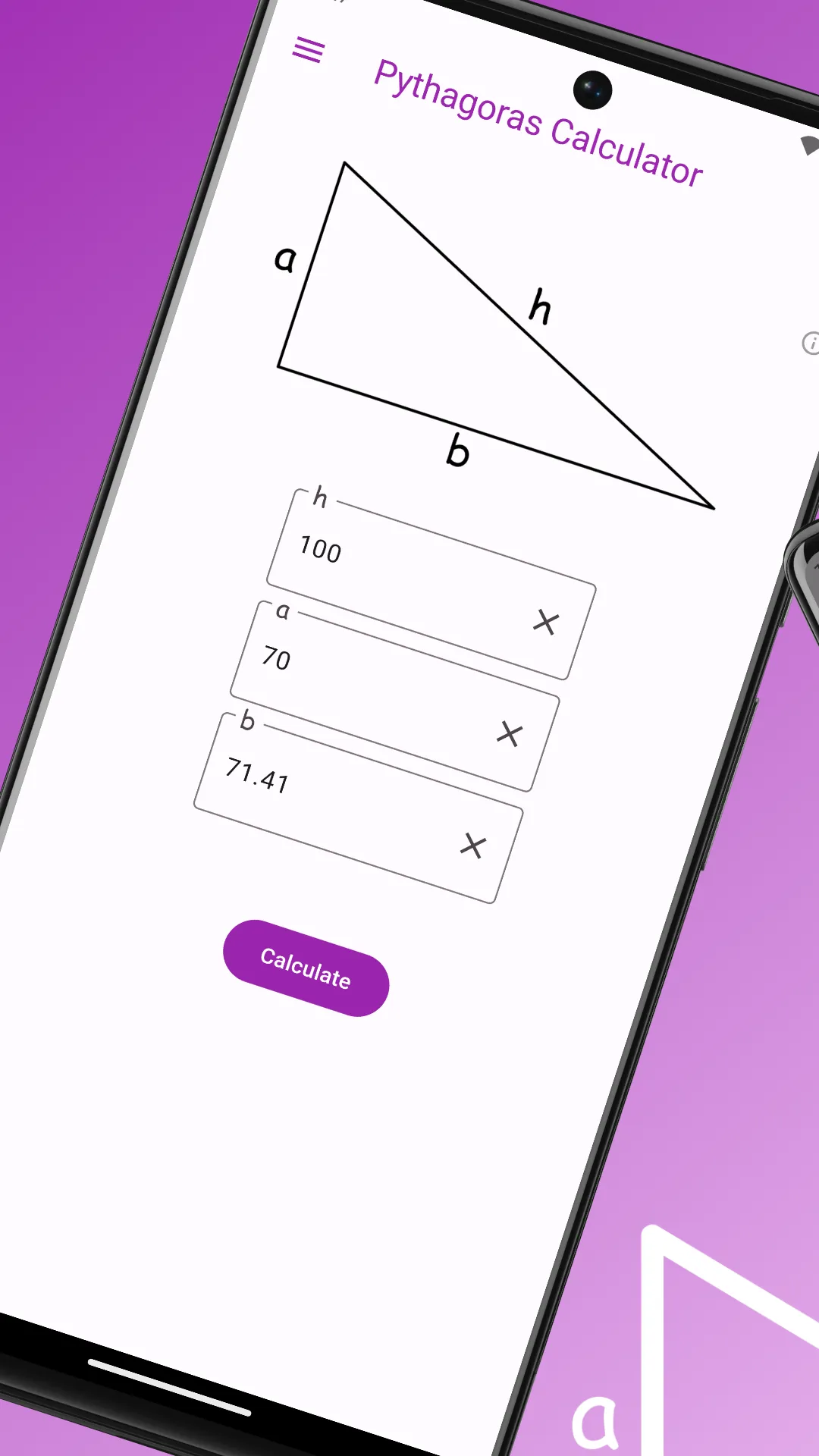 Pythagorean Calculator | Indus Appstore | Screenshot