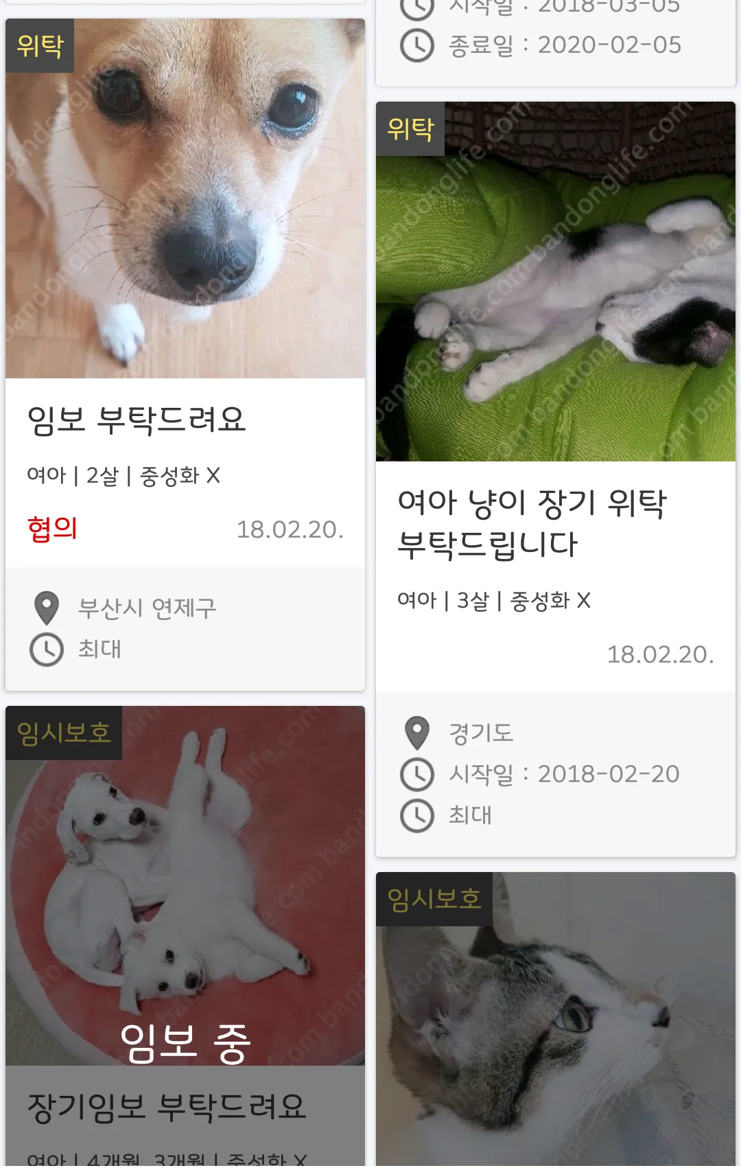 반동라-반려동물,고양이,강아지,유기견후원 | Indus Appstore | Screenshot