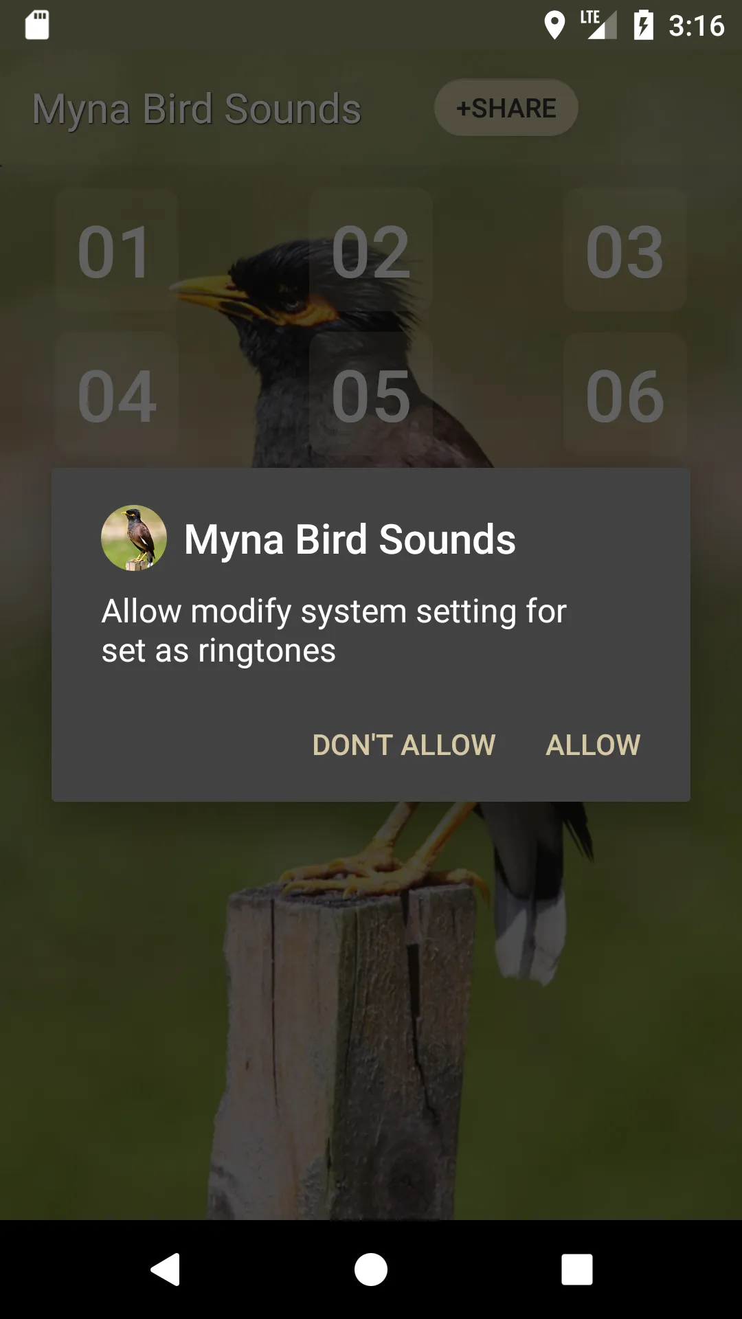 Myna Bird Sound Ringtones | Indus Appstore | Screenshot