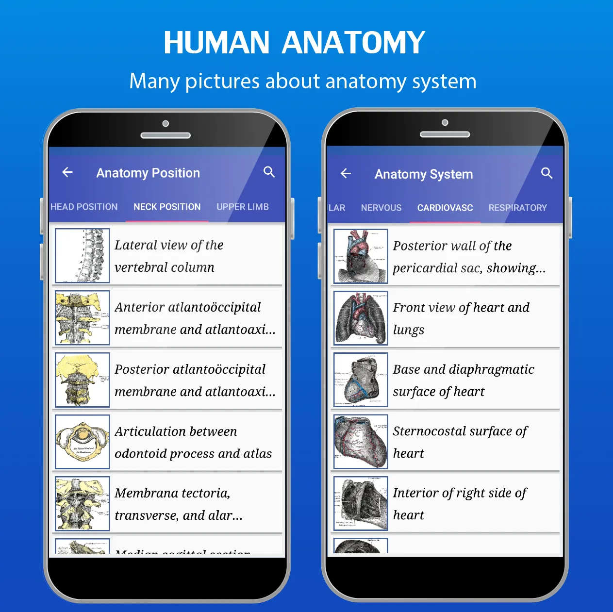 Gray's Anatomy - Anatomy Atlas | Indus Appstore | Screenshot