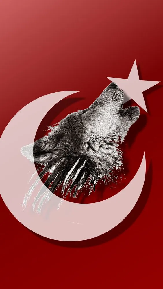 Turkish Flag Wallpaper | Indus Appstore | Screenshot