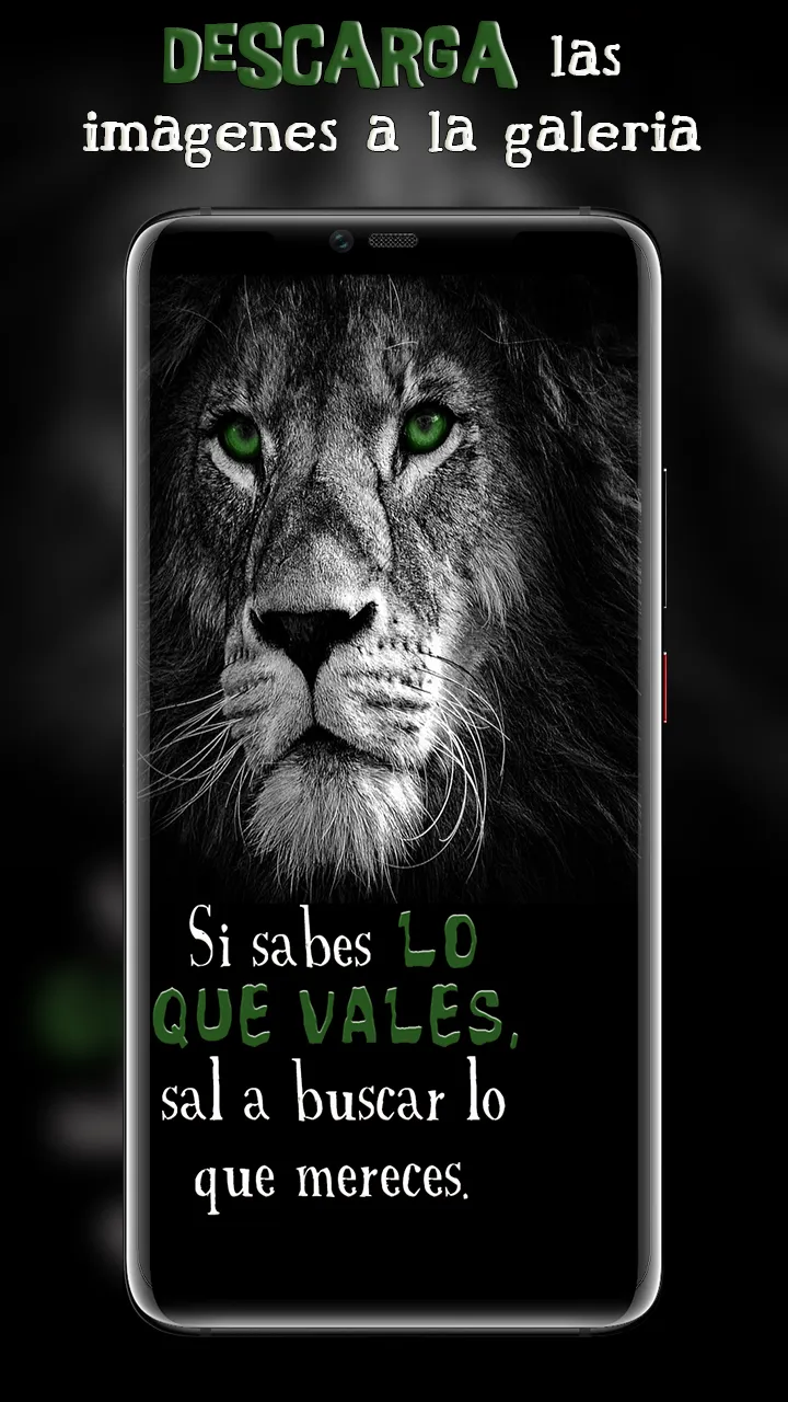 Frases Animo Positivas | Indus Appstore | Screenshot