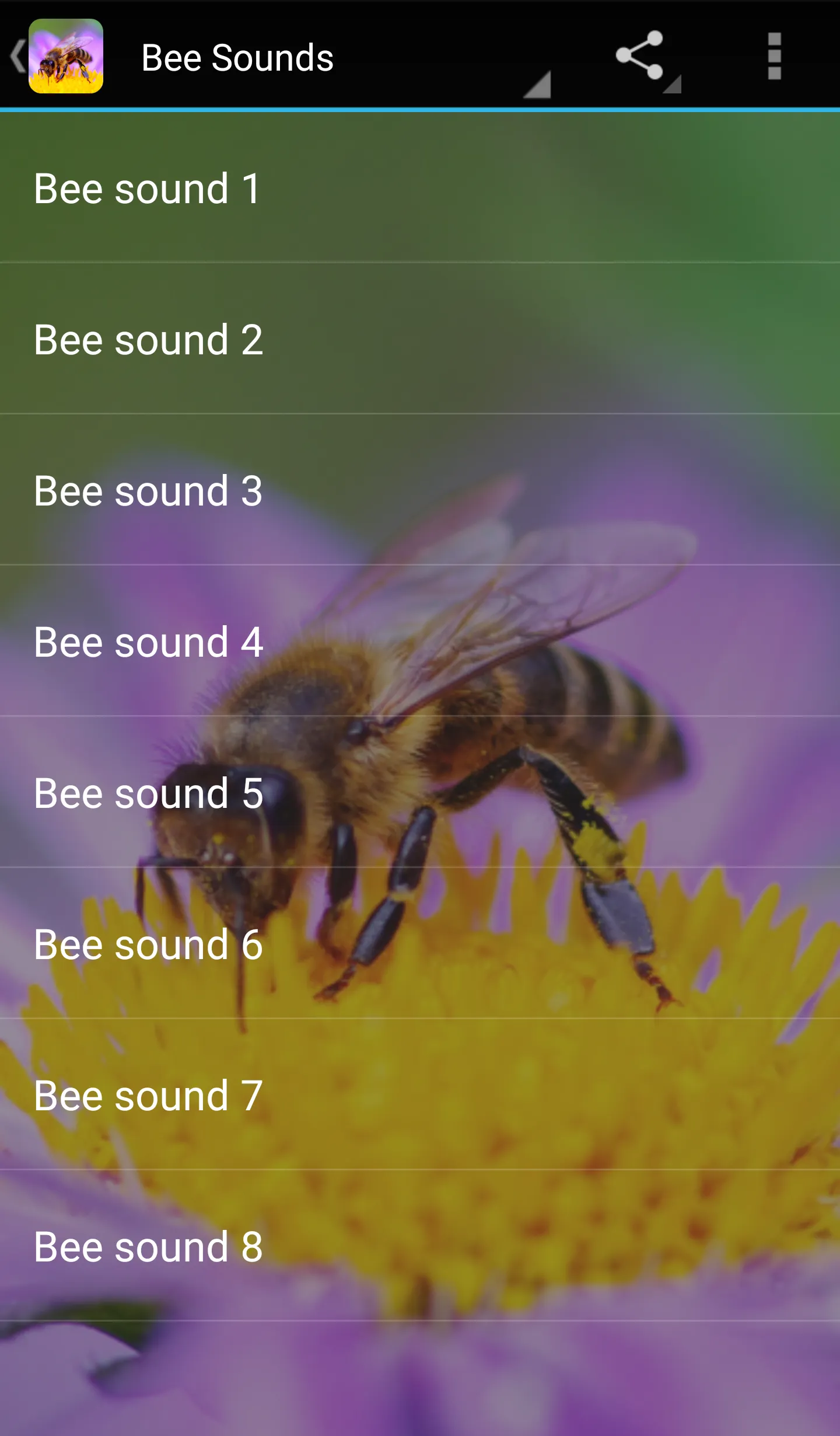 Bee Sounds | Indus Appstore | Screenshot