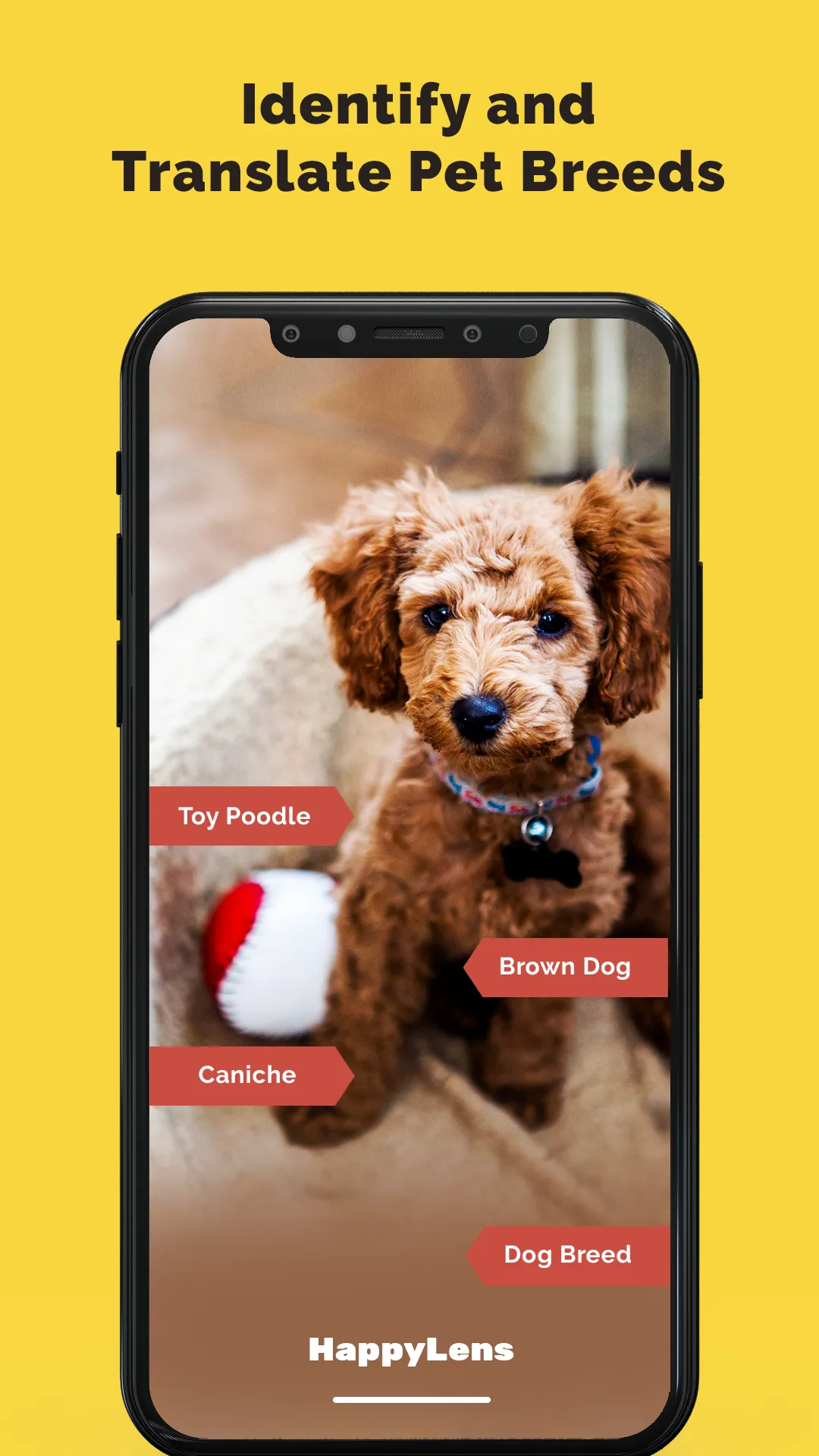 Happy Lens | Indus Appstore | Screenshot