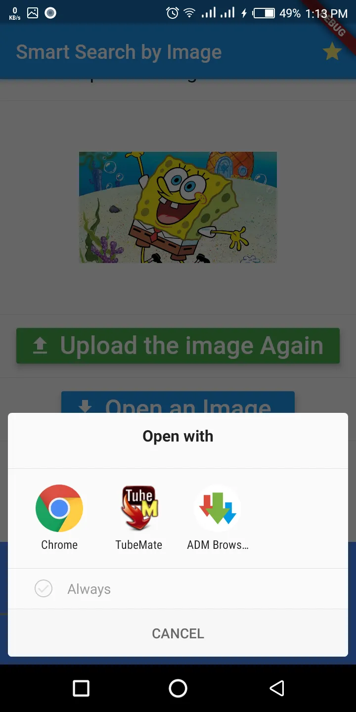 Search by image from any app | Indus Appstore | Screenshot