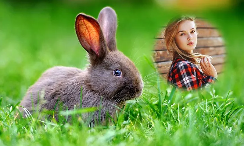 Rabbit Photo Frames | Indus Appstore | Screenshot