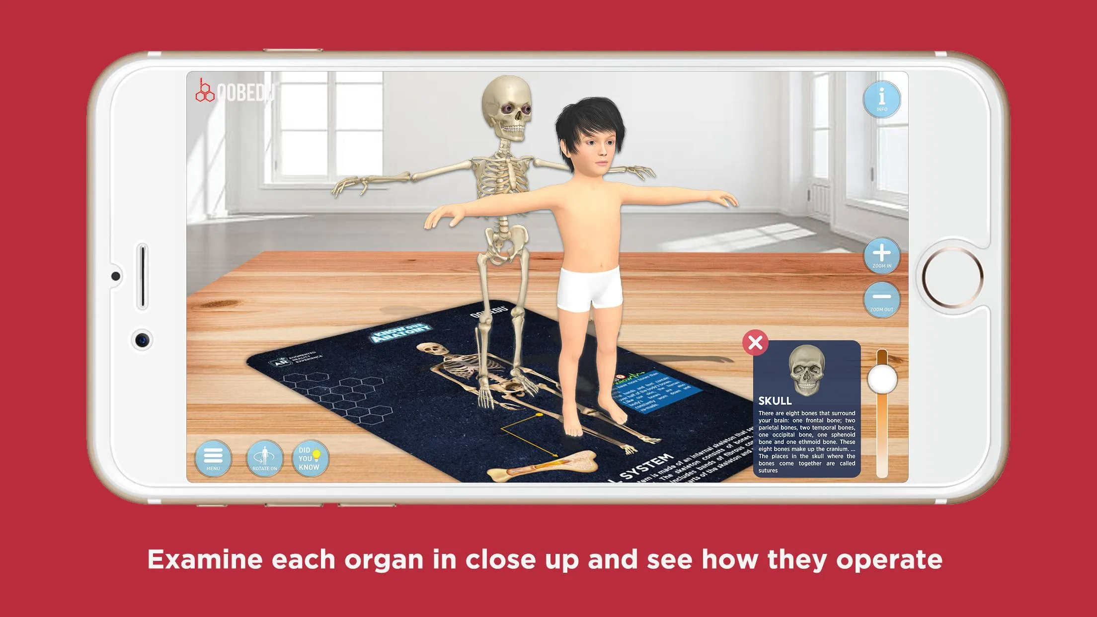 Know our Anatomy by OOBEDU | Indus Appstore | Screenshot