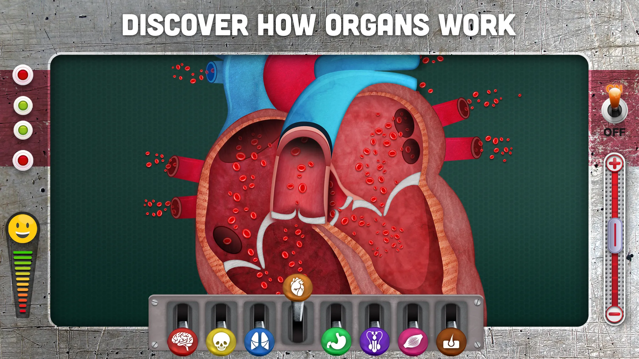 How does The Human Body Work? | Indus Appstore | Screenshot