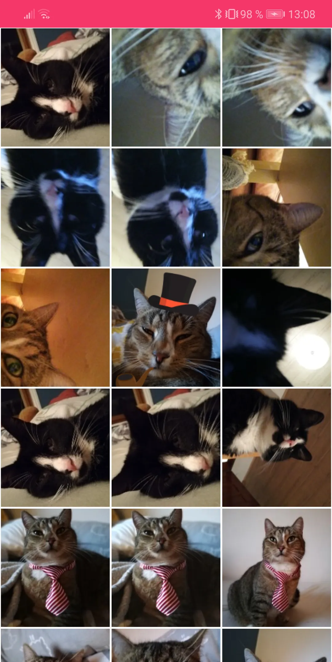 KittyCam - Selfie app for cats | Indus Appstore | Screenshot