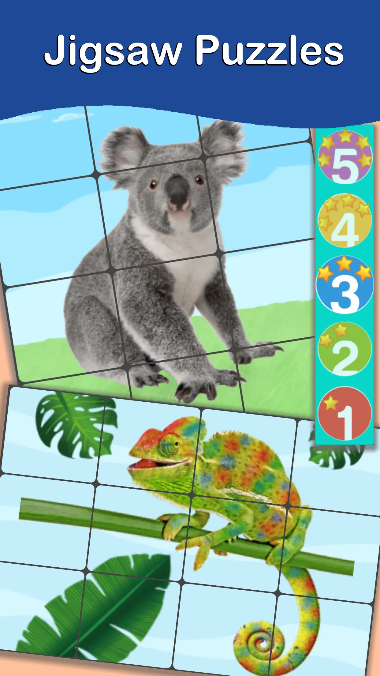 Animals Cards : Learn English | Indus Appstore | Screenshot