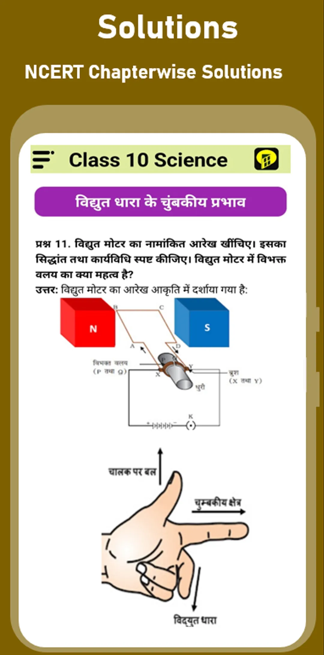 Study window Class 10 Solution | Indus Appstore | Screenshot