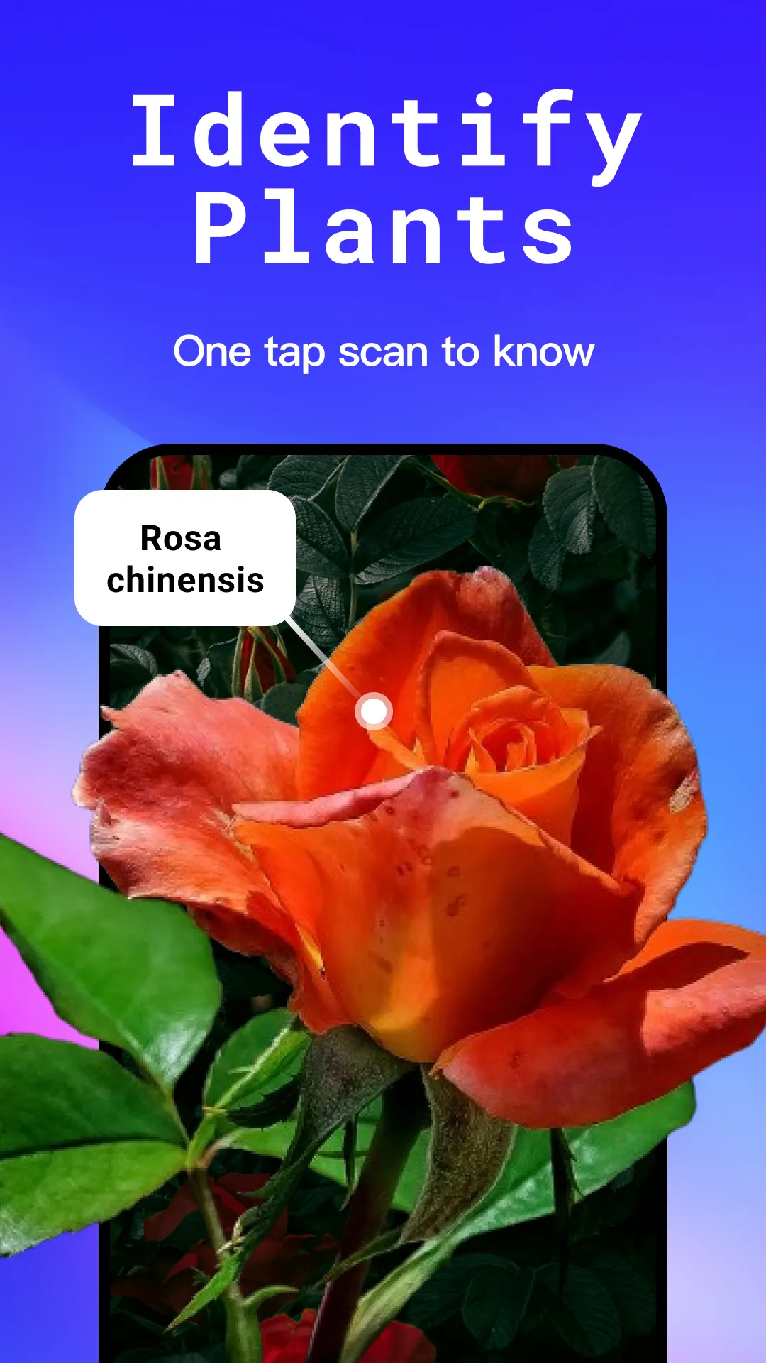 All Scanner: QR & AI Identify | Indus Appstore | Screenshot