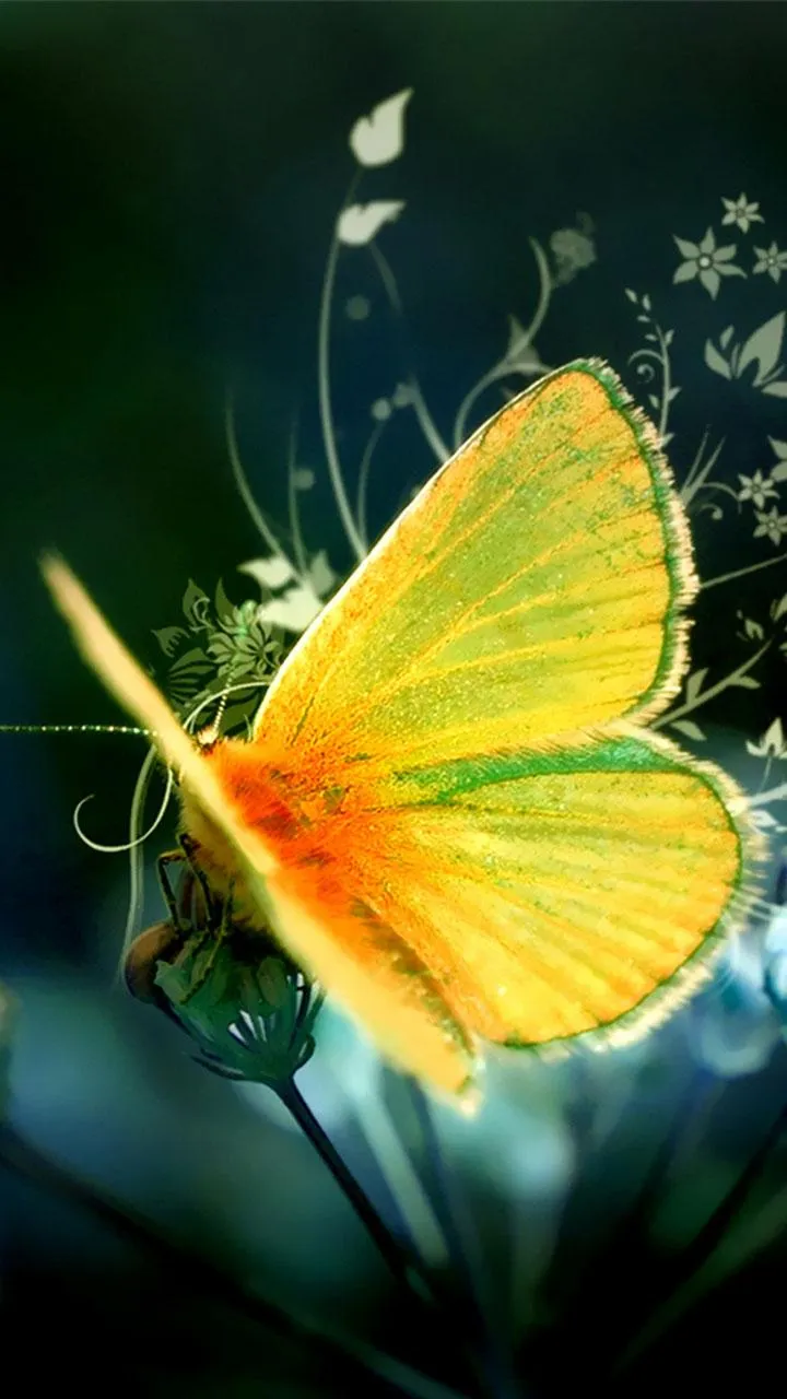 Butterflies Live Wallpaper | Indus Appstore | Screenshot