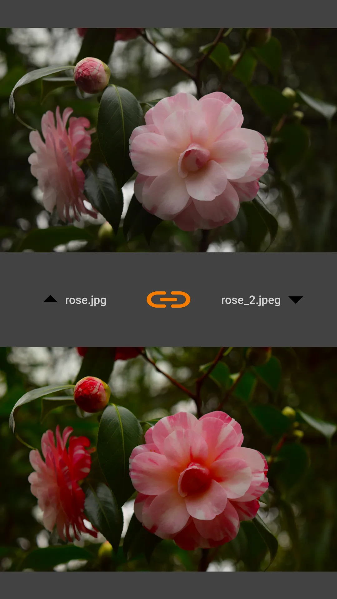 VES - Image and Photo Compare | Indus Appstore | Screenshot