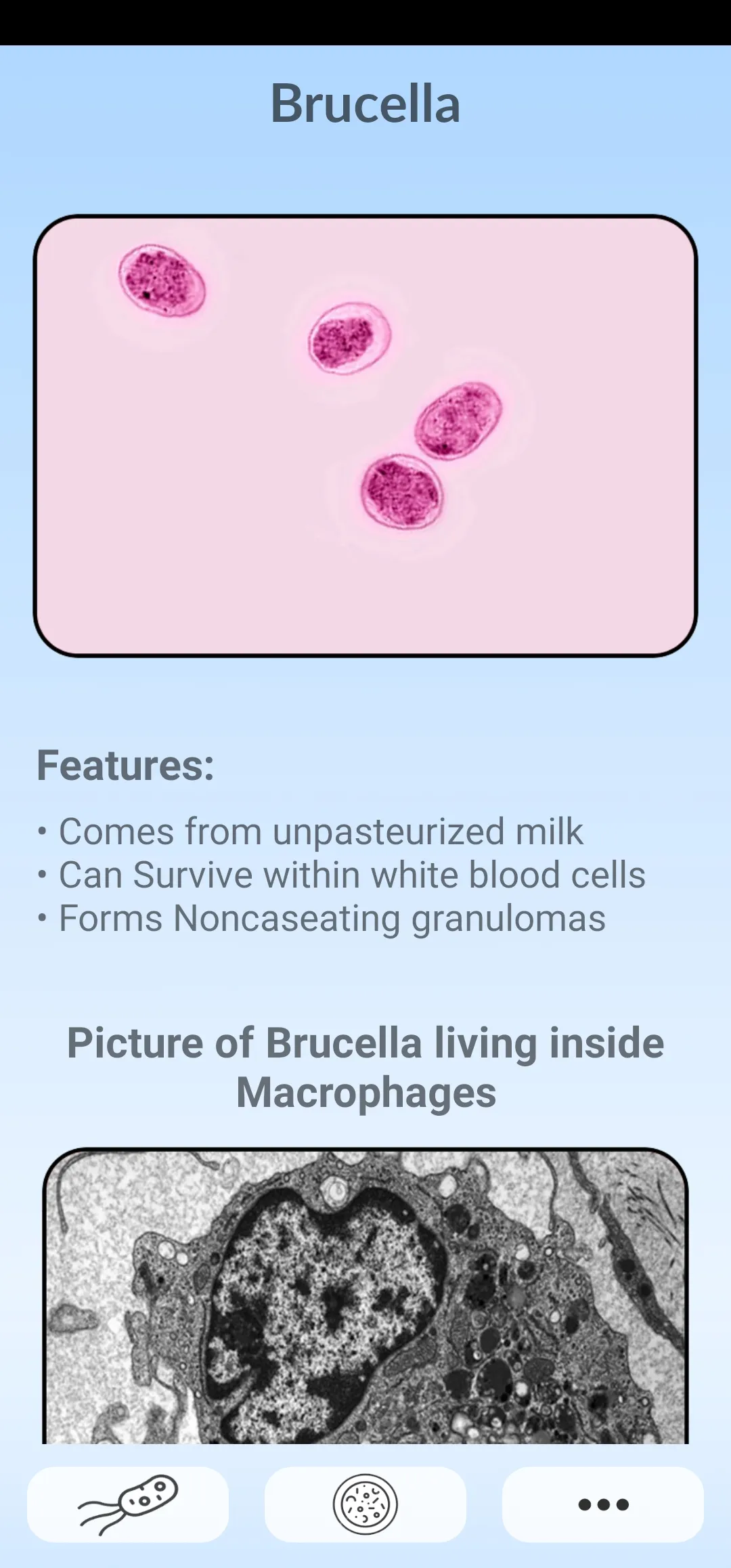 Microbiology Guide | Indus Appstore | Screenshot