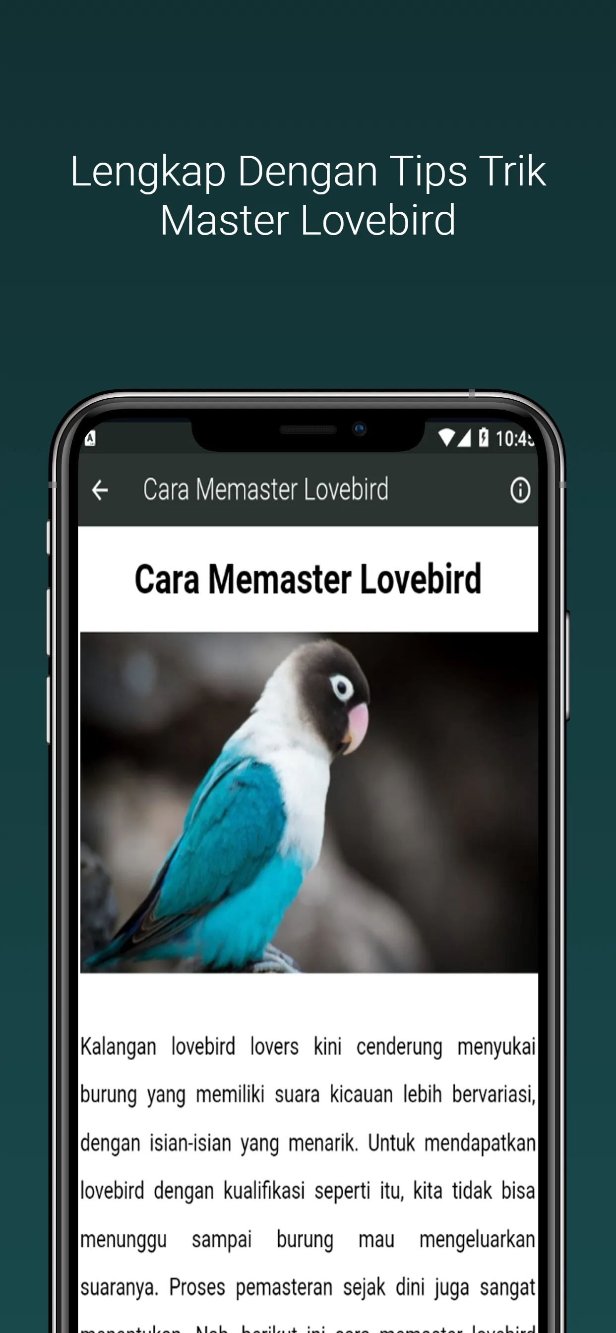 Masteran Kicau Lovebird Gacor | Indus Appstore | Screenshot